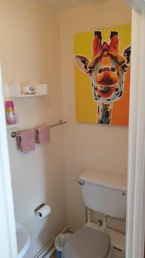 Sunnyside Bed & Breakfast Strokestown Bagian luar foto
